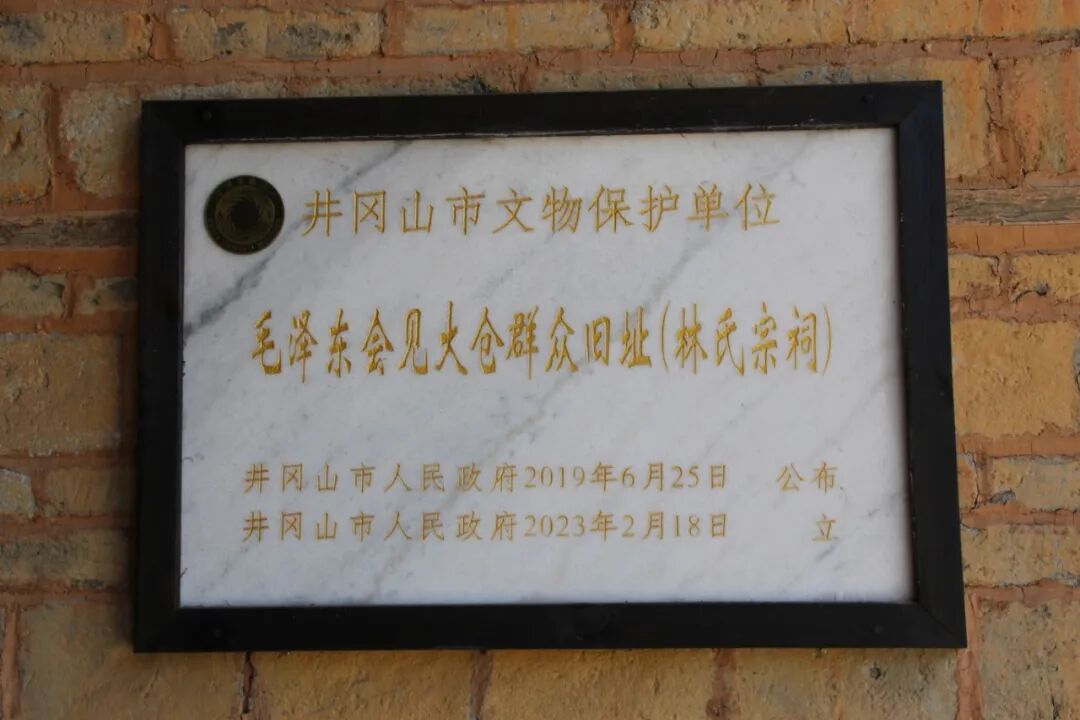1784555202011007577.jpg 1784555202011007577.jpg